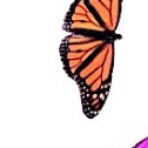 Meet your Posher, Bree